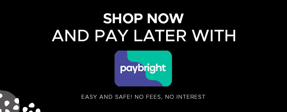 paybright_header